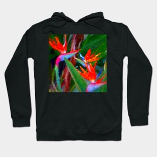 Bird of Paradise Family Abstract Hoodie